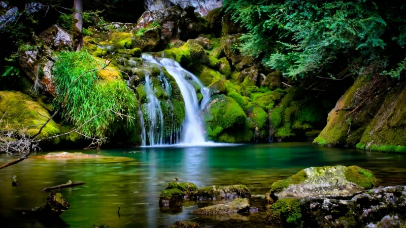 Green Covered Rocks With Green Trees Between Waterfall 4K HD Nature Wallpaper