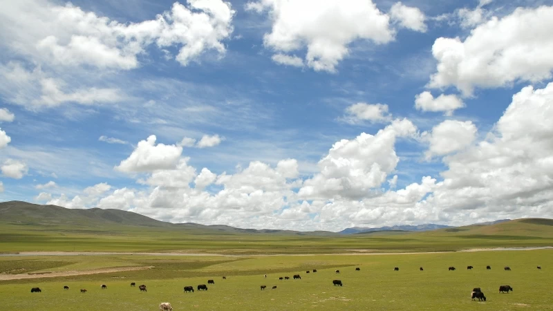 Blue and White Clouds Under Mountains With Green Field During Daytime 4K HD Nature Wallpaper