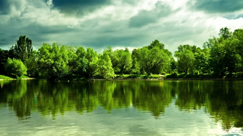 Green Trees In Front Of Lake With Cloudy During Daytime 4K 5K HD Nature Wallpaper