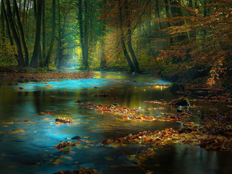 River Sunbeam Autumn 4k Wallpaper