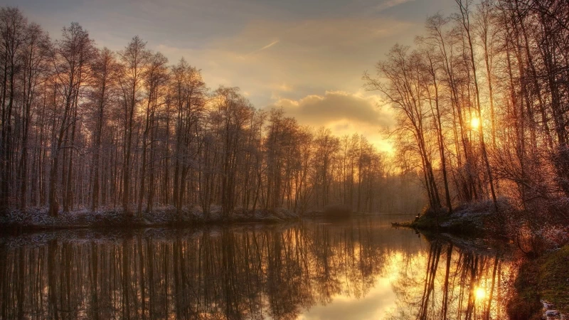 Sunlight Passing Through Dry Trees Opposit Of Lake During Sunset Time 4K HD Nature Wallpaper