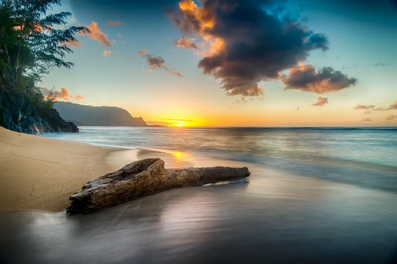 Driftwood On Beach At Sunset On North Shore Of Kauai 8k Wallpaper