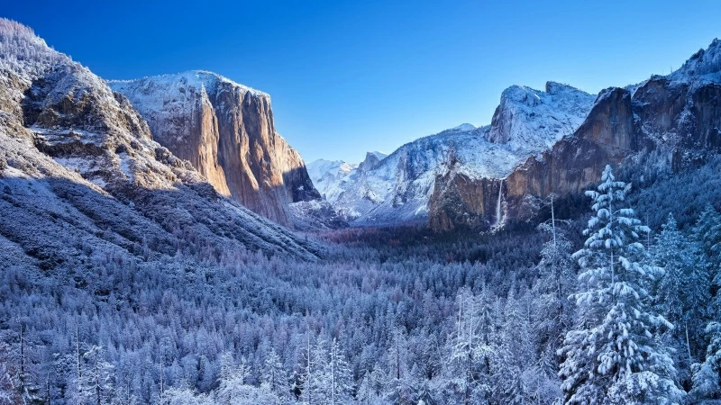 Yosemite Winter Morning 4k Wallpaper