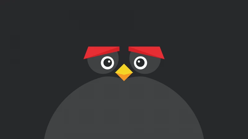 Angry Bird Minimal Dark 8k Wallpaper