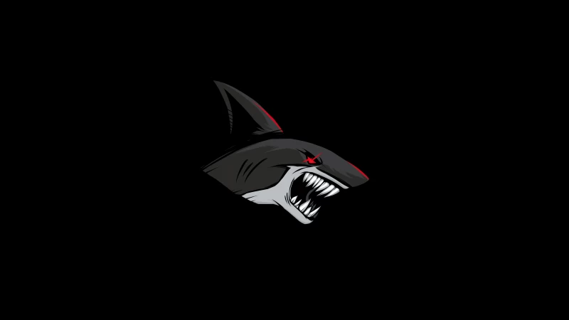 Shark Dark 5k Wallpaper