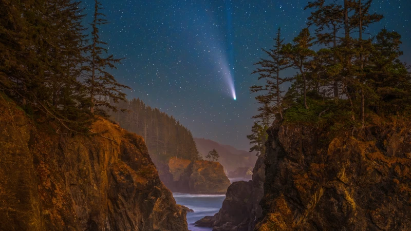 Coast Stars Scenery Oregon Night Trees 5k Wallpaper