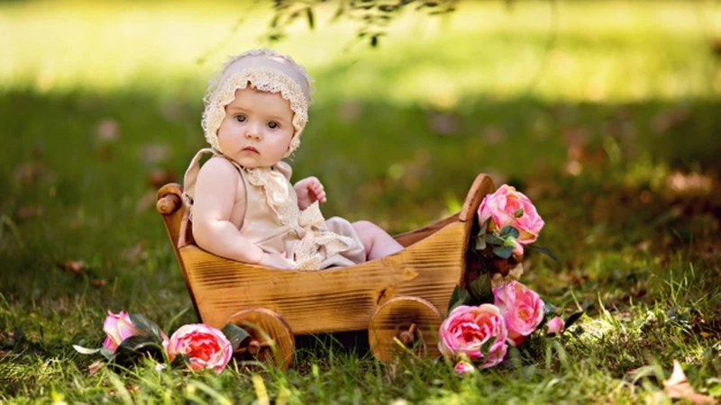 Cute Little Baby Girl Is Sitting On Toy Cart With Rose Flowers In Blur Green Bokeh Background HD Cute Wallpaper