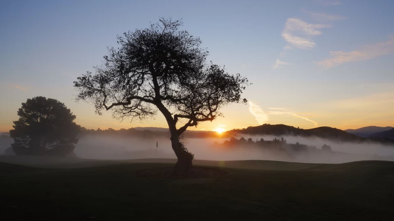 Green Trees Fog Under Blue Sky During Sunrise 4K HD Nature Wallpaper