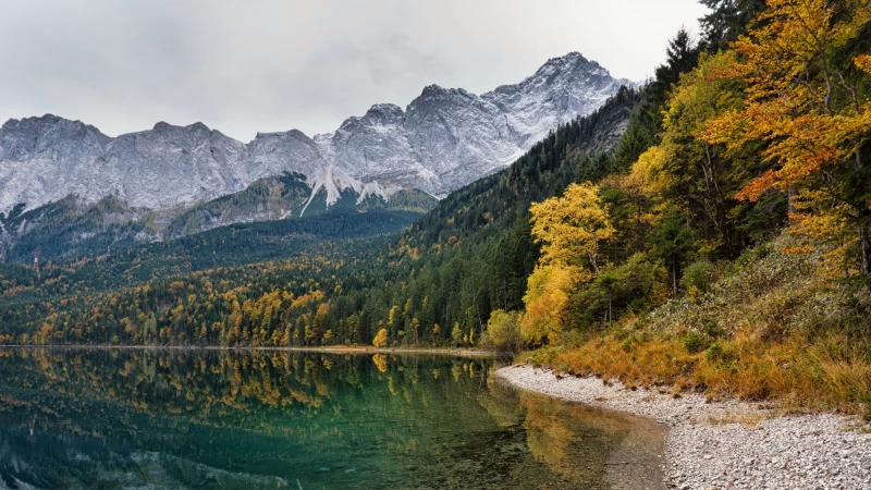 Green Yellow Autumn Trees White Mountains Reflection On Water 4K HD Nature Wallpaper