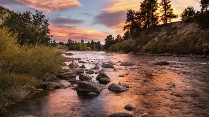 Stones On River Water Stream Between Green Trees Bushes Plants Under Black Yellow Clouds Blue Sky 4K HD Nature Wallpaper