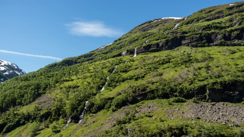 Water Stream Between Green Trees Grass Plants Bushes Covered Mountain Under Blue Sky 4K HD Nature Wallpaper